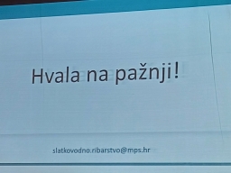 640557327_1496214099175913_5365525036892972823_n